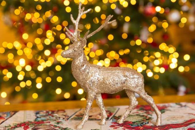 christmas-reindeer-decoration-1509616766hHs